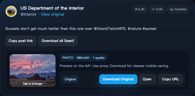 XDownload result card retaining the original X post author and source link