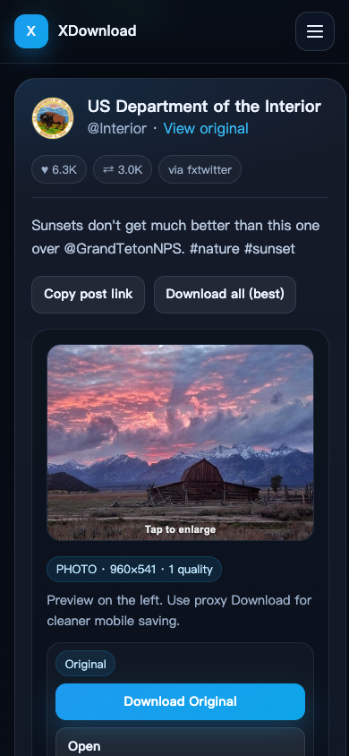 XDownload showing a resolved public X image post in a 390 by 844 mobile viewport