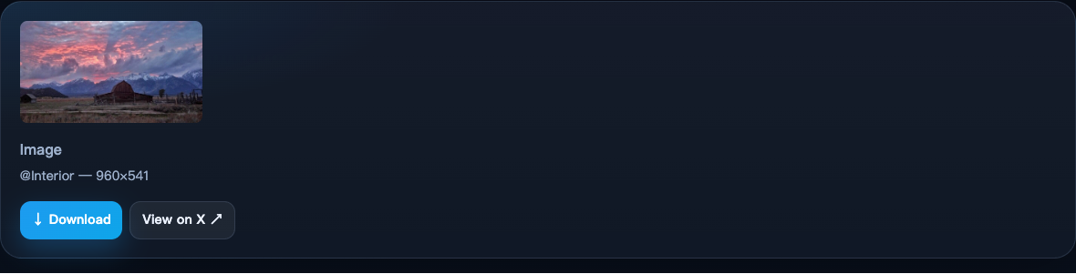 XDownload image tool showing one original-quality image result